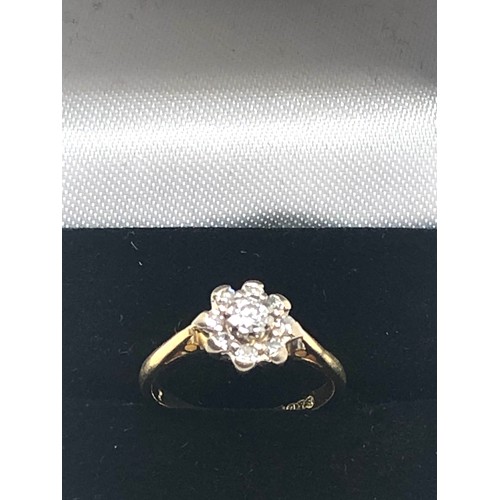 204 - 18ct gold vintage diamond floral cluster ring (2.5g)