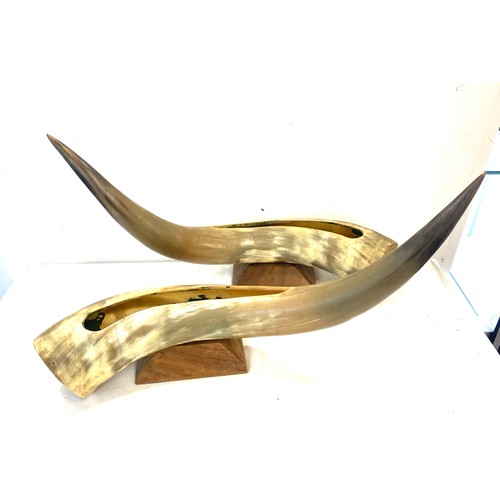 646 - Pair large animal horns, approximate length of each horn 21 inches