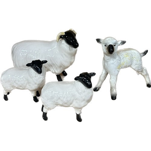 661 - Vintage Beswick black faced ram, sheep and lamb figures, all in good overall condition