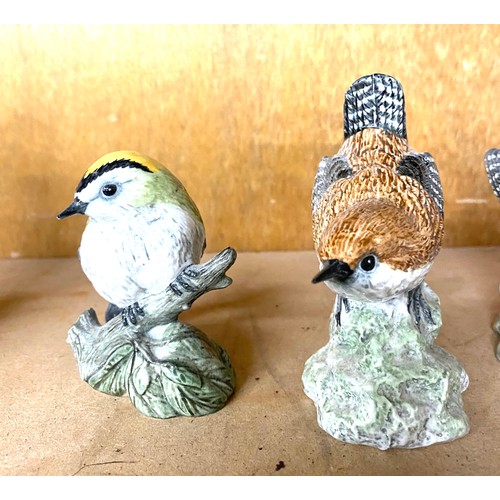 690 - Selection of Mack ornamental birds to include 3 x Wren, Gold Crest, Robin, Long tail tit, Dartford W... 