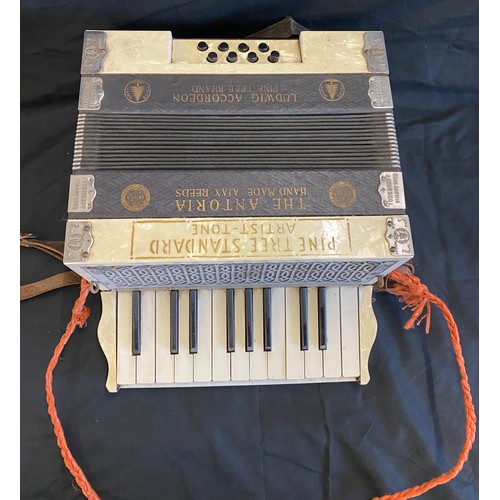 109 - Pine tree standard artist tone The Antoria Accordion