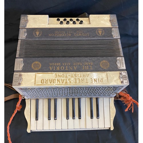 109 - Pine tree standard artist tone The Antoria Accordion