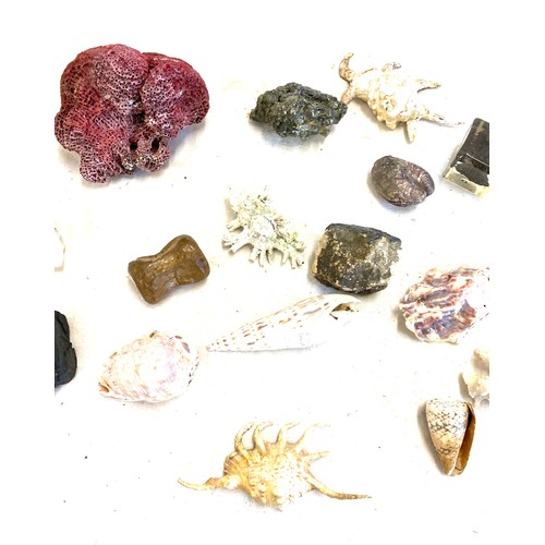 14 - Selection of various shells, coral, rock, fossils etc