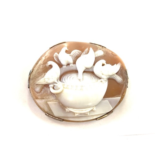 550 - Large Antique Victorian cameo brooch, depicting doves of Pliny