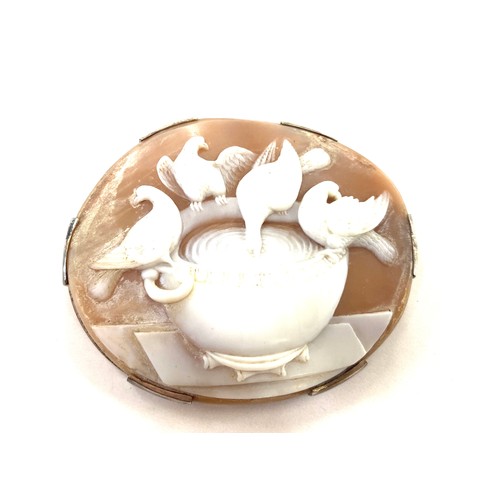 550 - Large Antique Victorian cameo brooch, depicting doves of Pliny