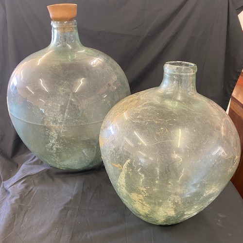 169 - Glass botanical garden vases largest measures approximately 24.5 inches