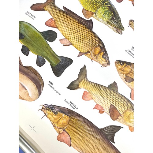 197 - The complete angler by Keith Linsell poster measures approx 37.5 inches by 24.5 wide