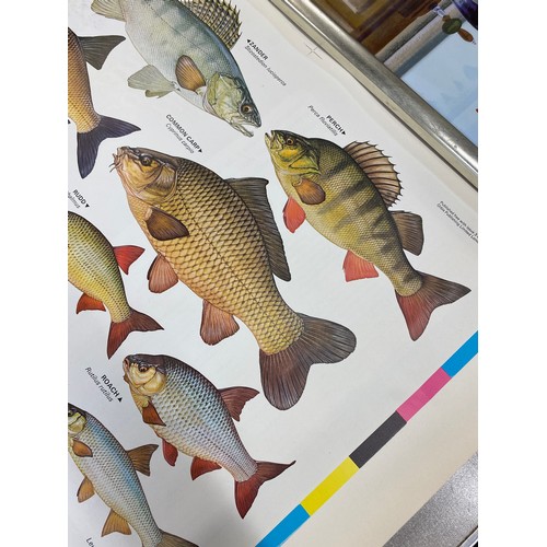 197 - The complete angler by Keith Linsell poster measures approx 37.5 inches by 24.5 wide