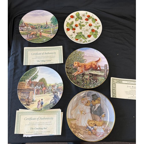 147 - Selection of assorted collectors plates includes Just married, Creatures great, Enter the ark, The V... 