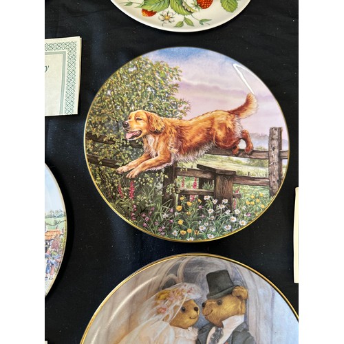 147 - Selection of assorted collectors plates includes Just married, Creatures great, Enter the ark, The V... 