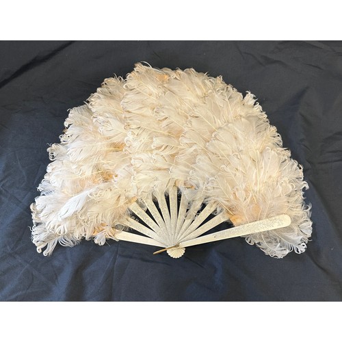 149 - Vintage feather fan