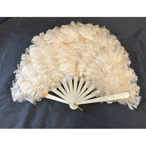 149 - Vintage feather fan