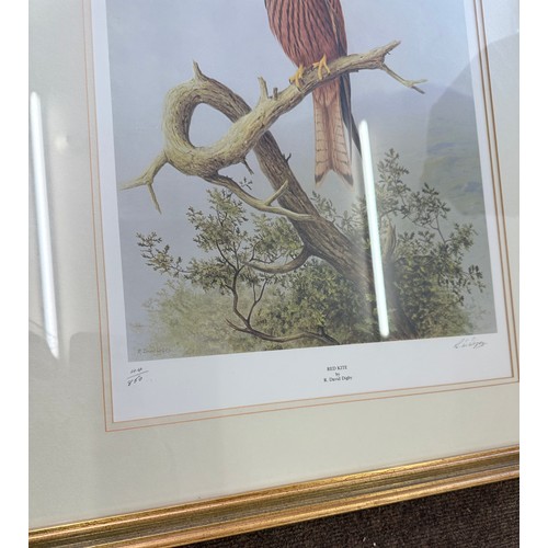 178 - Pair of framed signed limited edition prints by David Digby  includes Red Kite and Golden eagle meas... 