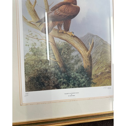 178 - Pair of framed signed limited edition prints by David Digby  includes Red Kite and Golden eagle meas... 