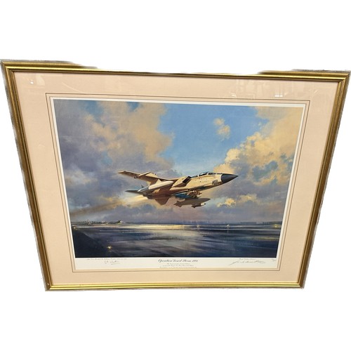 325 - Framed limited edition signed print, Operation desert storm 1991, number 44/850. Signiture Frank Woo... 