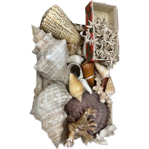 206 - Vintage thimbles, buttons and shells in a wicker picnic basket