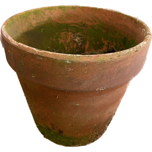 301 - 5 Vintage terracotta plant pots, tallest measures approximately: 8 inches