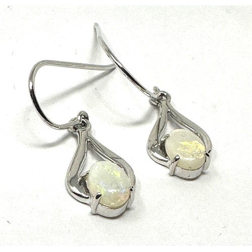 240 - 14ct white gold opal drop earrings (2g)