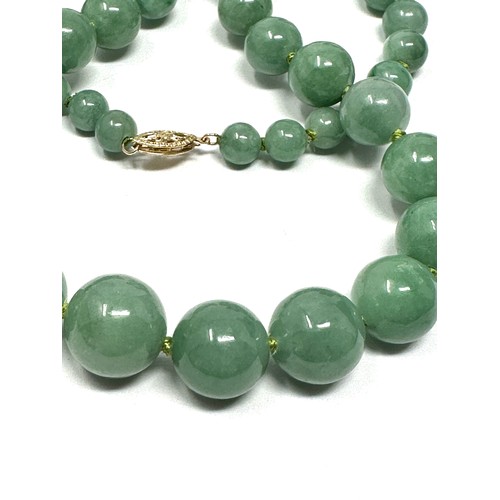 276 - 14ct gold clasped graduated jade bead necklace (71g)