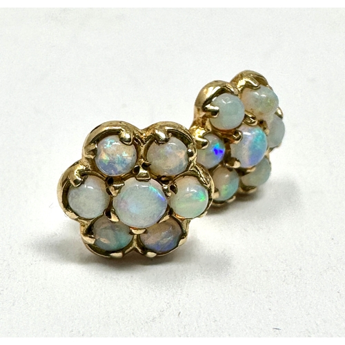 144 - 9ct gold opal earrings