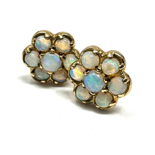 144 - 9ct gold opal earrings