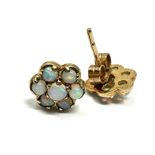 144 - 9ct gold opal earrings