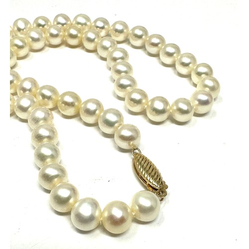 291 - 9ct Gold Clasp  Pearl Single Beaded Strand Necklace (32g)