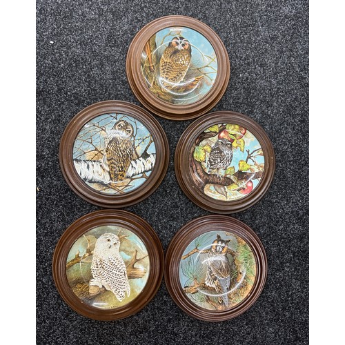 5 - Six owl plates in wooden frames diameter approx 11 inches