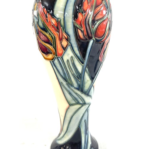 563 - Vintage Moorcroft red Tulip pattern inverted baluster vase height approximately 11 inches tall