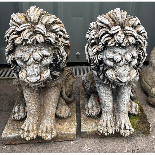 100T - Pair of concrete lion statues 18 inches tall 10 inches wide