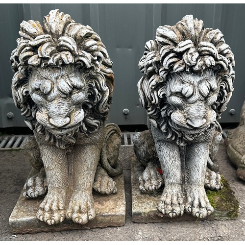 100T - Pair of concrete lion statues 18 inches tall 10 inches wide