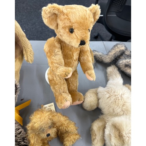 134 - Selection of vintage and later teddies includes Gund cat, Deans rag book, big softies, Buggins bear ... 