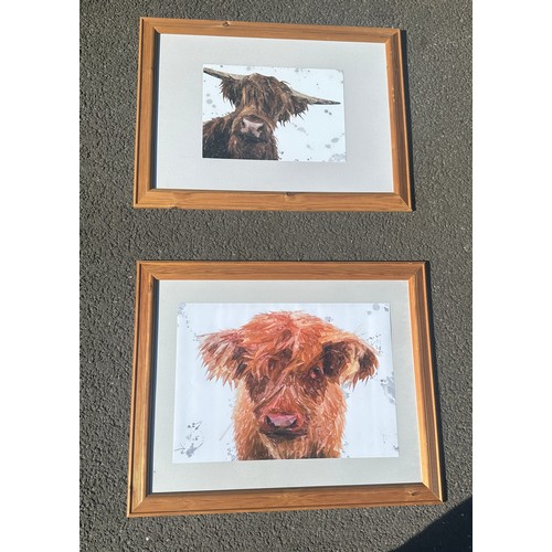 268 - Two framed modern art pictures of cows measures approx 26 inches tall by 32 inches wide