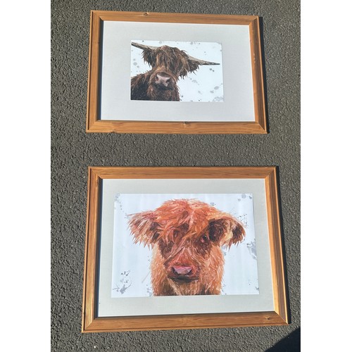 268 - Two framed modern art pictures of cows measures approx 26 inches tall by 32 inches wide