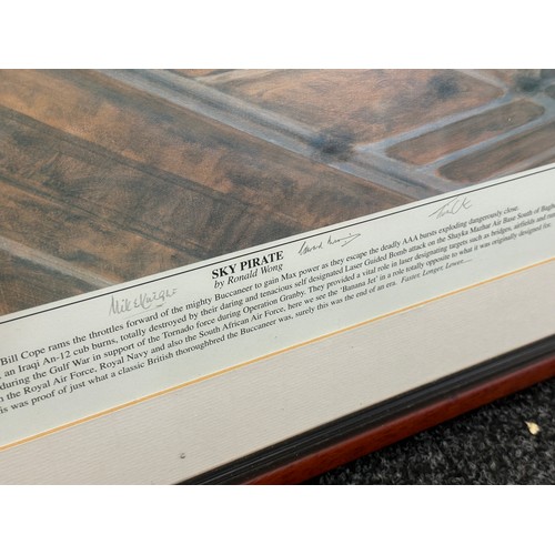 280 - Framed R.A.F sky pirate print by Ronald Wang signed, 61/100 measures approx 34 inches wide by 28 inc... 