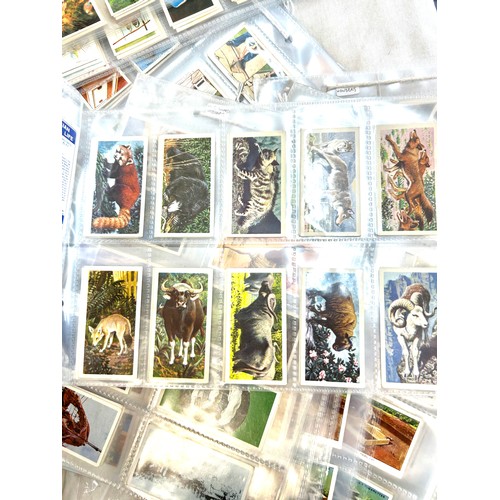 261 - Large selection of vintage cigarette cards to include Wills, Wonders of Wildlife, Brookbond etc