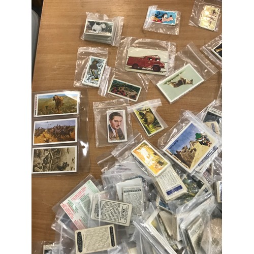 231 - Large selection of cigarette cards to include Kings and Queens of England, British birds etc