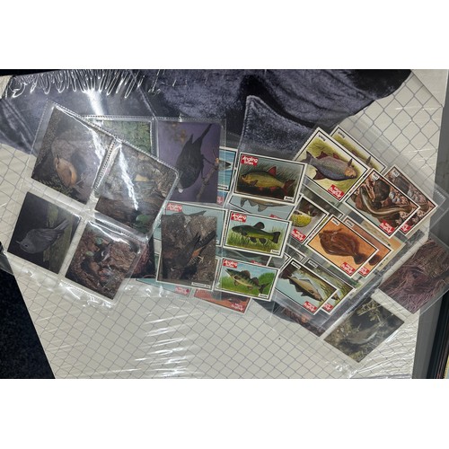 231 - Large selection of cigarette cards to include Kings and Queens of England, British birds etc