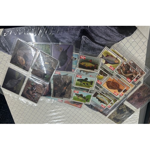 231 - Large selection of cigarette cards to include Kings and Queens of England, British birds etc