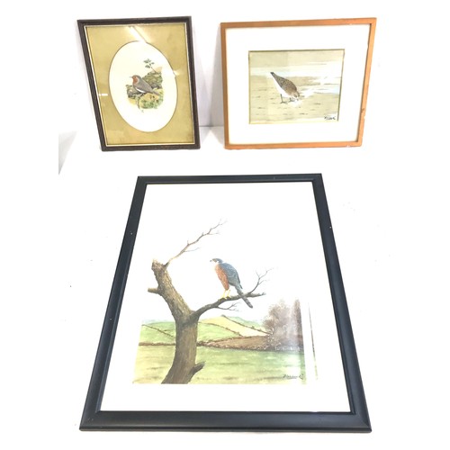 75 - Three framed bird paintings, all signed, Calidris Temminckii, K.J wood and Fish-hou.k, largest measu... 