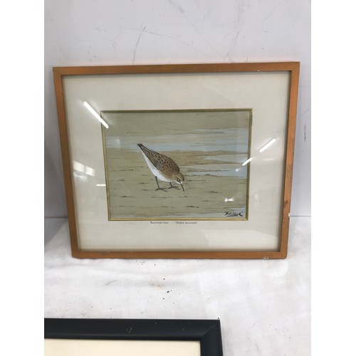 75 - Three framed bird paintings, all signed, Calidris Temminckii, K.J wood and Fish-hou.k, largest measu... 