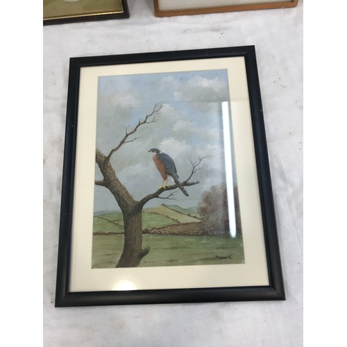 75 - Three framed bird paintings, all signed, Calidris Temminckii, K.J wood and Fish-hou.k, largest measu... 