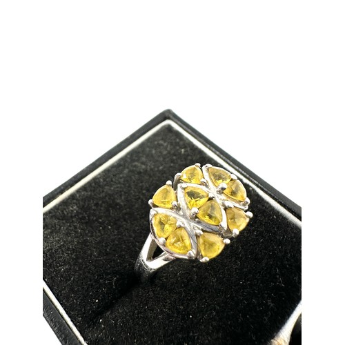 106 - 9ct White Gold & Yellow Gemstone Dress Ring (4.1g)