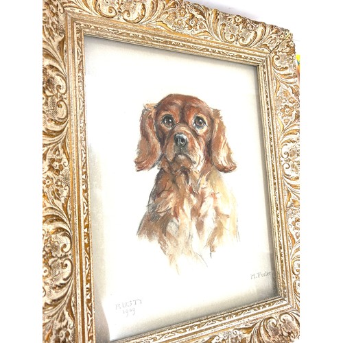 33 - Rusty 1969 m porter dog drawing, abyssinian brett parker cat drawing, lucy dawson jill print largest... 