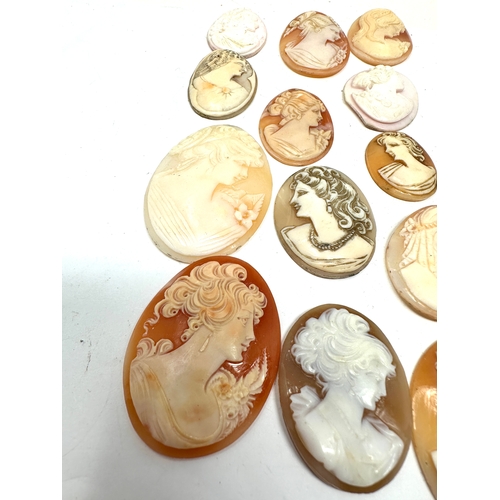 504 - A Collection Of Loose Cameo Panels In Various Sizes