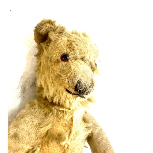 51 - Antique teddy bear 12 inches tall