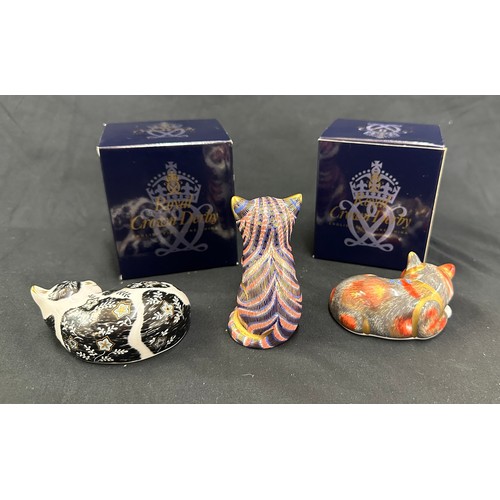 413 - Three Royal Crown Derby paperweights, Catnip Kitten, hand signed on the base by gilder, Julie Towell... 