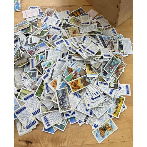 43 - Large selection of vintage cigarette cards to include animals, transport and an assortment of stamps