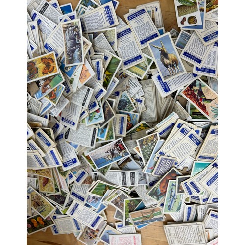 43 - Large selection of vintage cigarette cards to include animals, transport and an assortment of stamps