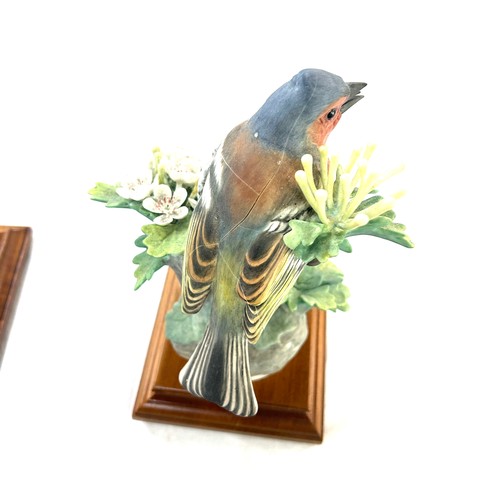 71 - Selection of bird figures on wooden stands, damaged